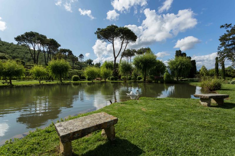 Villa Amadeo in Capannori