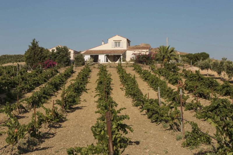 Ferienhaus Vigna in Selinunte