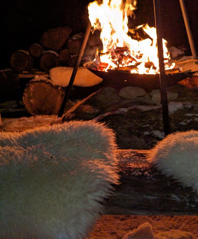 Chalet Adler in Saas-Fee