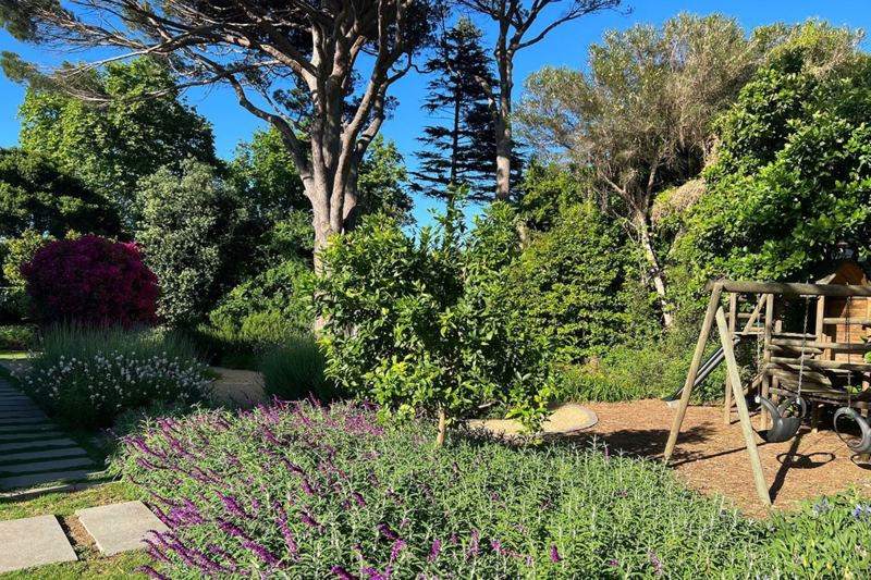 Villa Skydance in Constantia