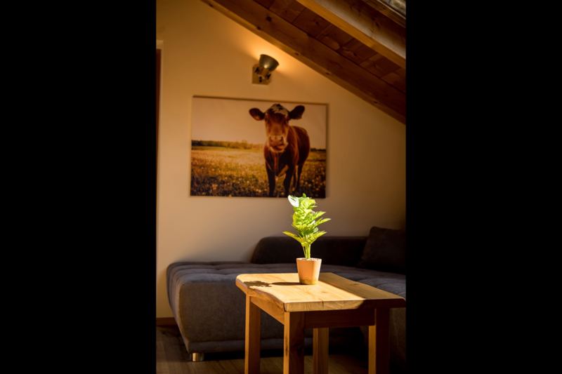 Ferienwohnung Bergliebe in Schleching