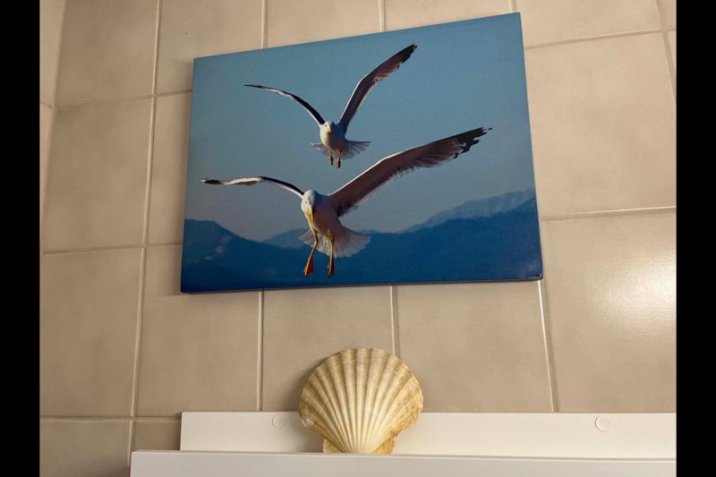 Ferienwohnung ChiemseeFreude in Chieming