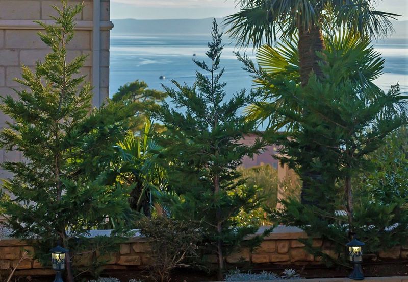 Villa Marko mit Pool in Makarska