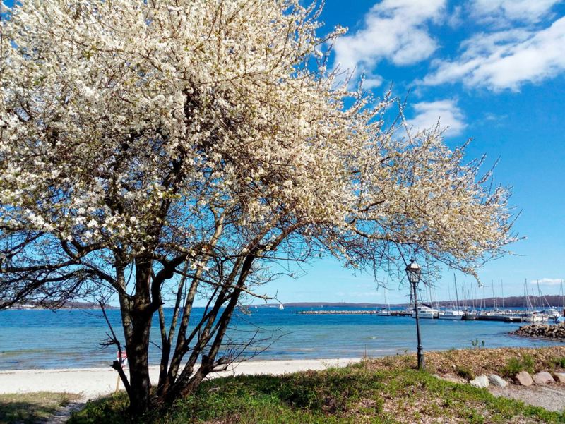 Strand von Wassersleben