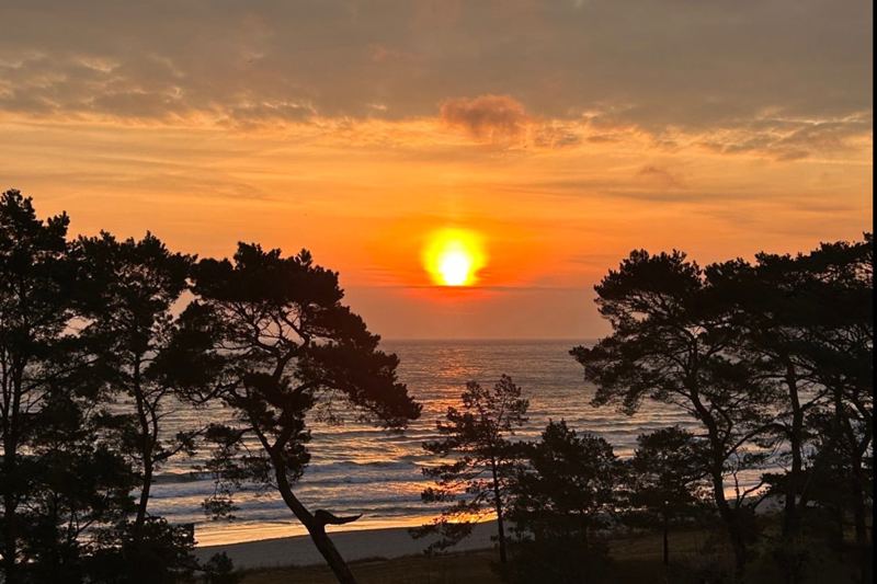 Ferienwohnung MORGENRÖTE / Villa FREIA in Binz
