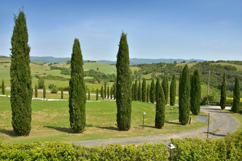 Villa Lisetti in Guardistallo