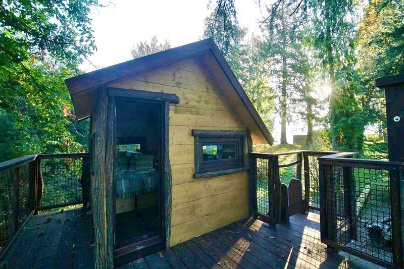 Das Baumhaus ist für Kinder ein Traum