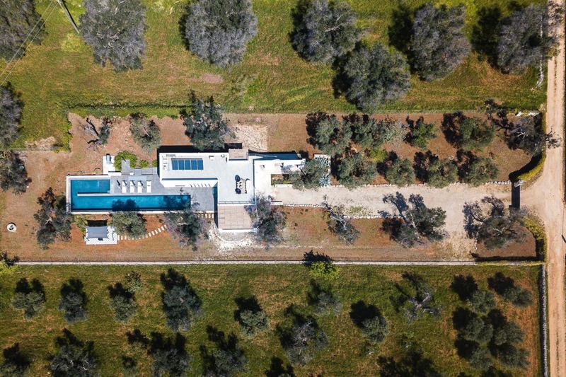Ferienhaus Olive Tree in San Vito dei Normanni