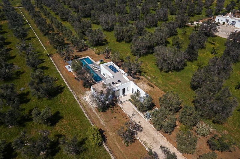 Ferienhaus Olive Tree in San Vito dei Normanni