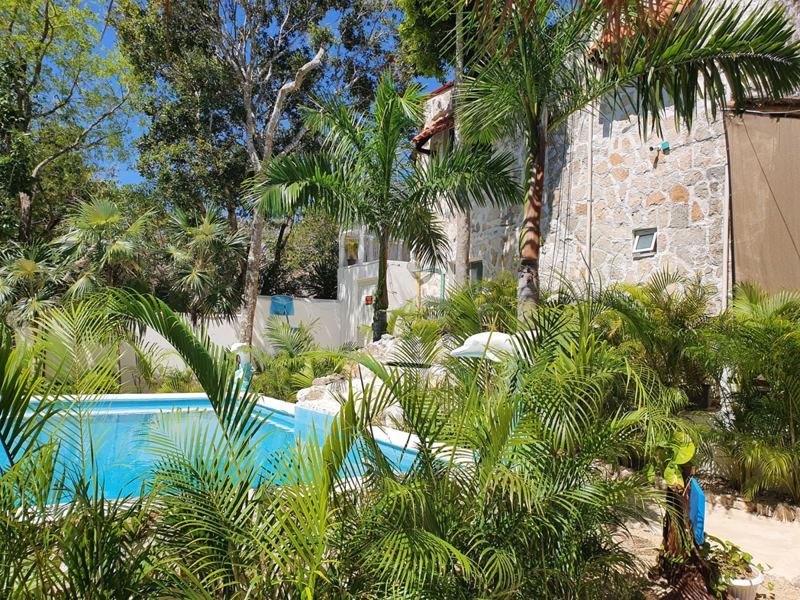 Der Pool im Garten