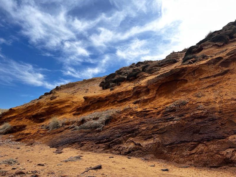 Das sehenswerte Naturschutzgebiet Morsum- Kliff im Osten der Insel
