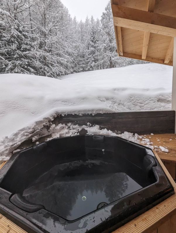 Chalet Adler in Saas-Fee