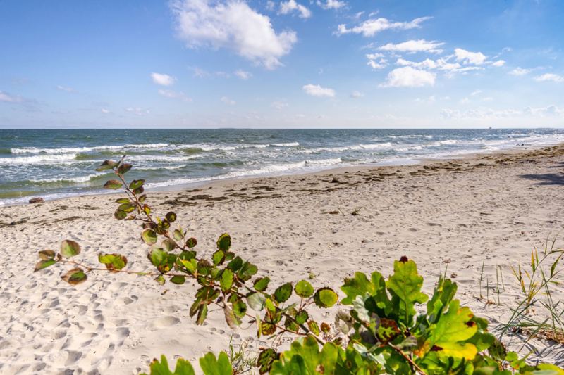Der Strandabschnitt in Lobbe gehört zu den schönsten auf der Insel Rügen