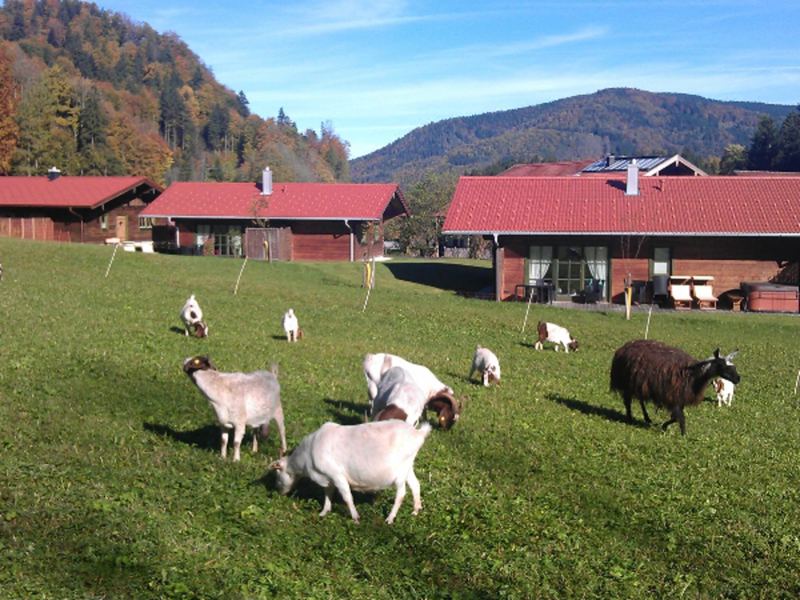 Bei diesem Anblick geht nicht nur den Kindern das Herz auf.