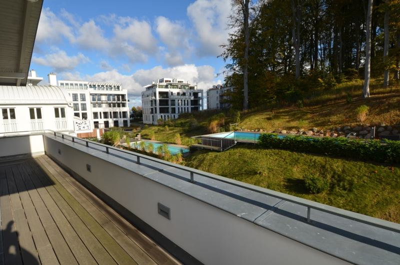 Der Blick auf den Pool im Garten und den dahinter liegenden Wald.