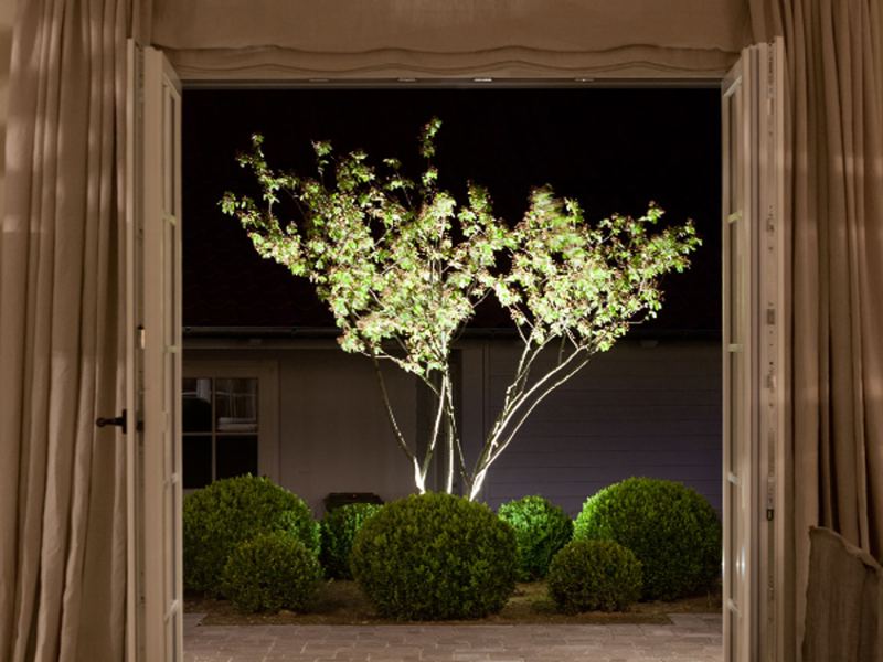 Blick in den Garten