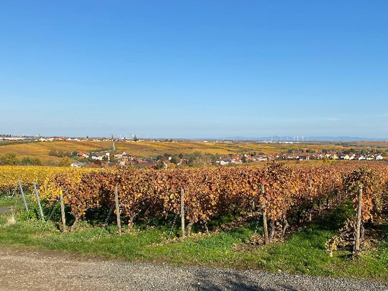 Kleinkarlbach im Herbst.