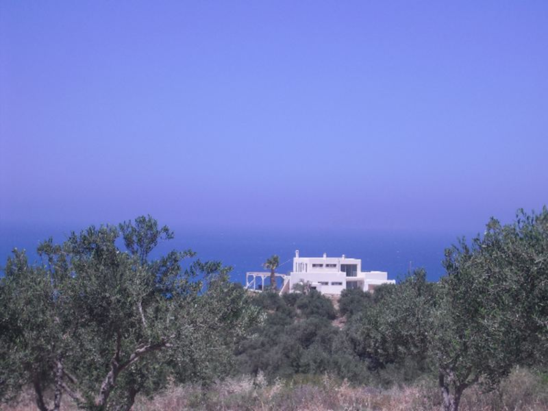 Villa Olimpia - Pitsidia - Südküste Kreta in Pitsidia