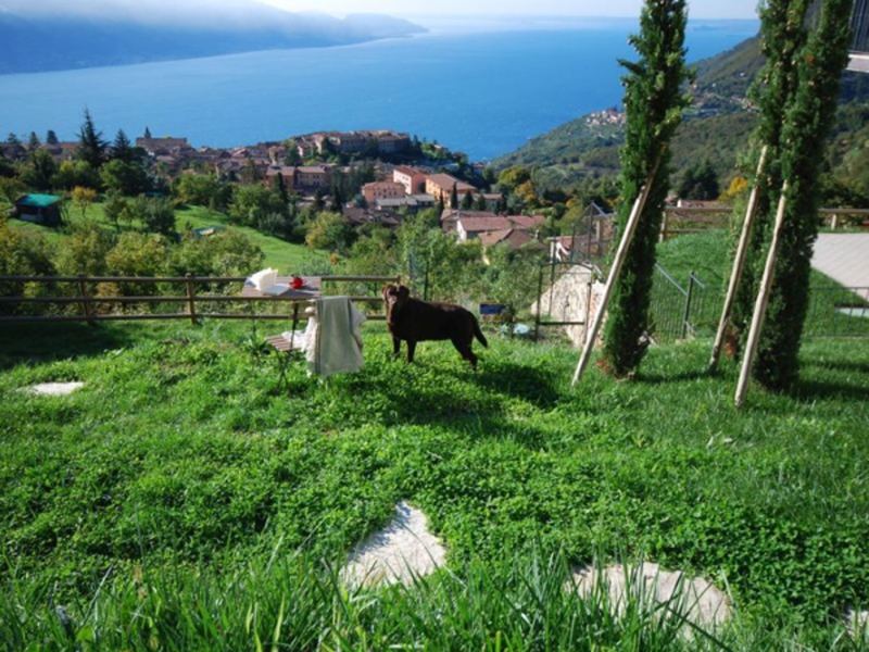 Ferienappartement B&B Borgo le Vigne -Il Mosto in Tignale
