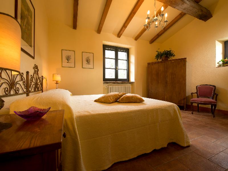 Villa Mimosa in Bibbona