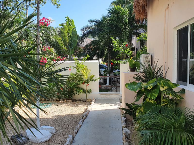 der tropisch angelegte Garten