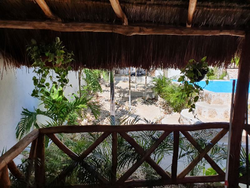 der Blick aus unserem Palapa im Garten